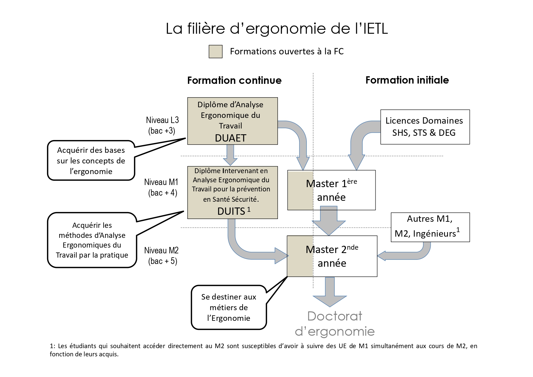 Filière Ergonomie